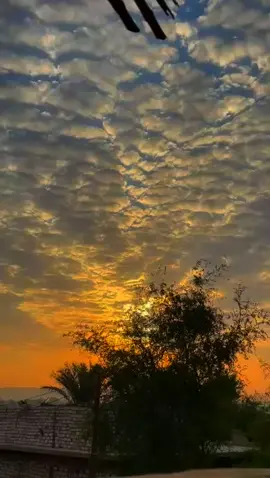 المنيا_اسيوط_سوهاج_قناا_الاقصر_اسوان_الصعيد_🐺