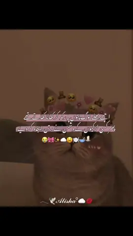 (یہ کہہ کر اس نے مجھے چھوڑ دیا)  (تیرے اپنے بہت ہیں تجھے رلانے کے لیے) 🌷🎀🥹 @𓆩𝑰𝑴𝑨𝑴𝑨𓆪💖🕊️  . . . . . #creatorsearchinsights#foryou #randomfunnyvideos #capcut #viewsproblem 