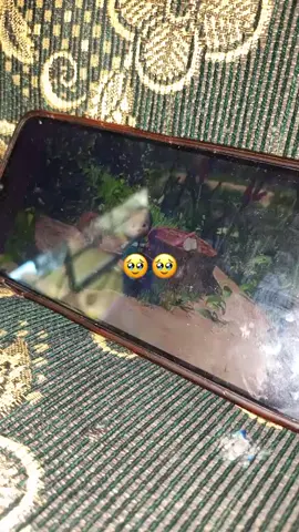 #marsya#cantik #promomakanharian # fyp laa😭😭