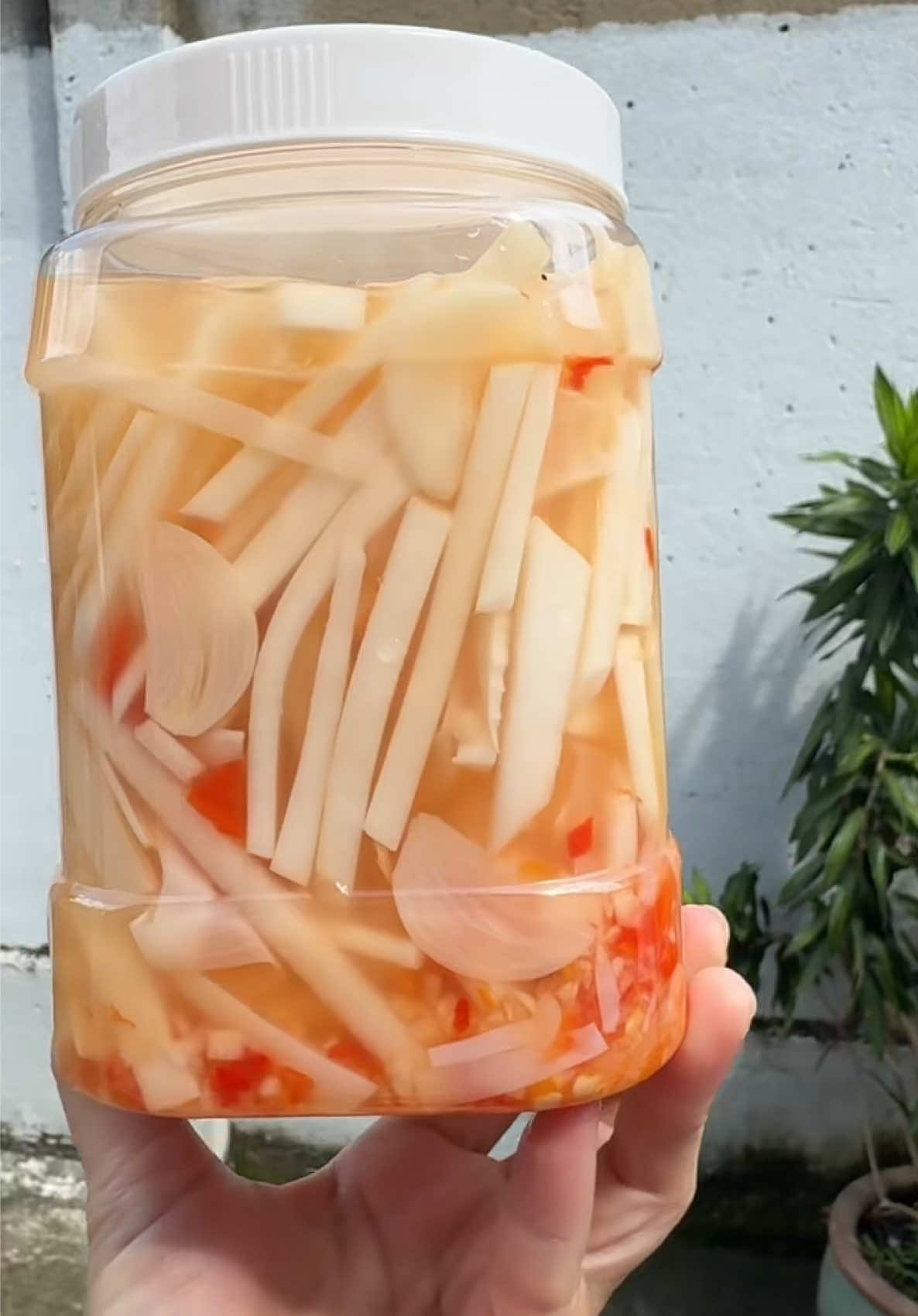 Măng ngâm chua cay tởi ớt ngon lắm luôn ạ  @Ngọc tiêu dùng88 #ngoctieudung88 #anngon #tienich #mangngamtoiot #mangngamchuacay 