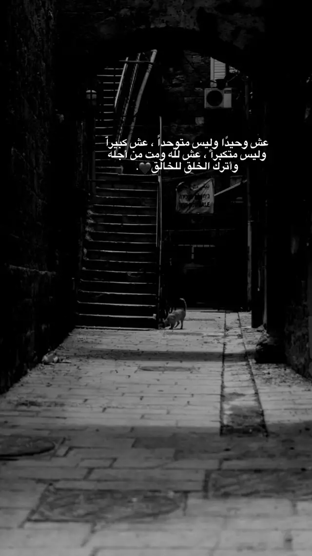 #اللهم_صلي_على_نبينا_محمد #جنين_نابلس_طولكرم_رام_الله_فلسطين #عبارات #اخواتي 