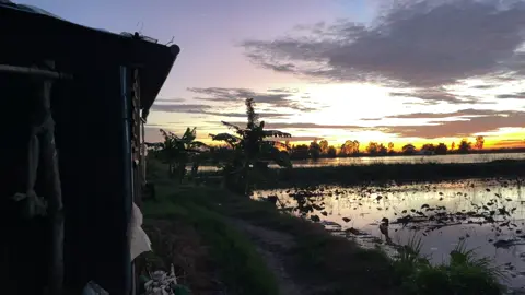 Thương đôi mắt em ơ thờ, để chiều hoàng hôn…! #canhchillvungque🌾 #hoanghon #binhyen #tamtrang #xuhuong 