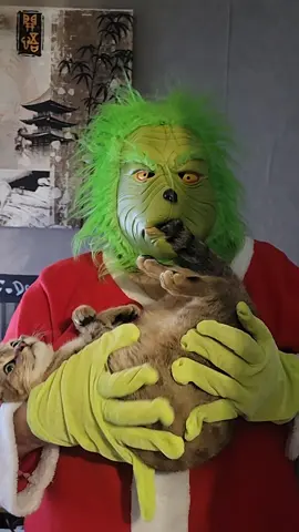 je me met à la cornemuse  #pourtoi #foryoupage❤️❤️ #foryou #fyp #cornemuse 