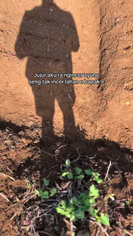 😭#petanimuda #viral 