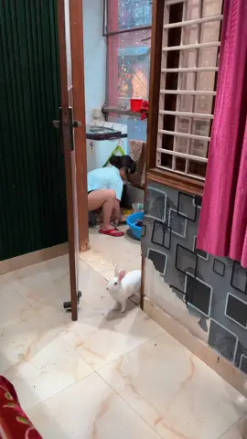 Share with your partner ❤️😍#anye #alkama #anyealkama #funny #comedy 