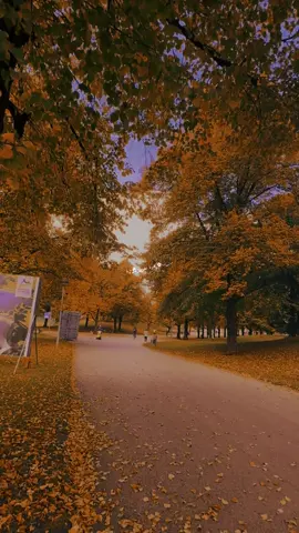 #تصميم_فيديوهات🎶🎤🎬 #اكسبلور #مجرد_ذووقツ🖤🎼 #hozandiyar #viraltiktok 