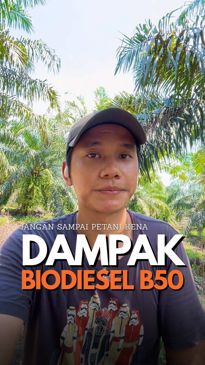 Ini hanya sinyal untuk para petani sawit Indonesia, ini bisa saja terjadi dan bisa tidak. Biodiesel B50 memang bagus, namun harus diingat dari sisi positif akan ada sisi ngegatif. #sawit #petanimuda #sawitontiktok #petani #petaniindonesia🇮🇩🇮🇩🇮🇩🌿🌿 