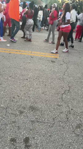 #jacksonville #florida #gators vs #georgia #bulldogs 