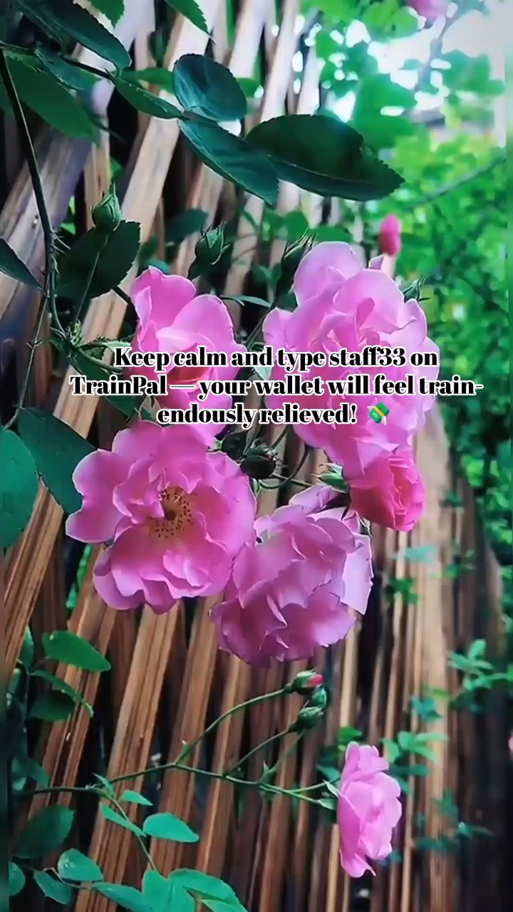 POV: While everyone’s in meetings, we’re boarding our discounted train to Durham ☕🚂 #uktravel#viral#london#traveltips#apps#Railcard #TravelDealsUK