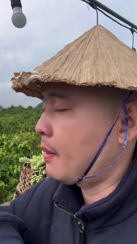 Im lặng và chấp nhận. #trending #viralvideo #capcut #viral #xuhuong 