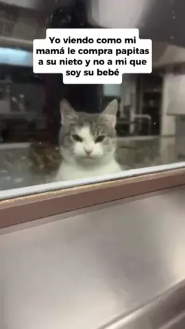 aún no logro entender  #LIVEIncentiveProgram #KeepItRealKeepItLIVE #PaidPartnership 