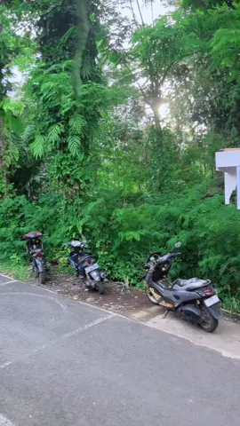 #pentol #kulinermoga #mieayam #kulinerpemalang 