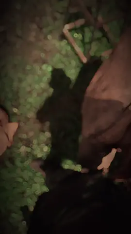 Cứ chậm rãi mà bước…dù hôm nay chưa ổn ngày mai vẫn còn đó…quan trọng là mình chọn bước tiếp để thấy những điều tốt đẹp hơn…đúng ko các bác ??? #81gialai #xuhuongtiktok #fypシ゚ #viraltiktok 