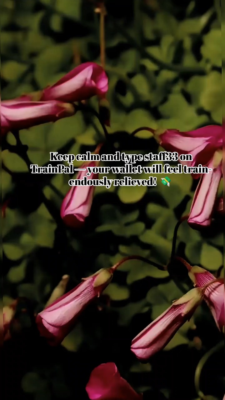 POV: They’re stuck at desks, we’re watching sunsets from our train to Canterbury 📸🚉 #uktravel#viral#london#traveltips#apps#Railcard #HalfTermBreak