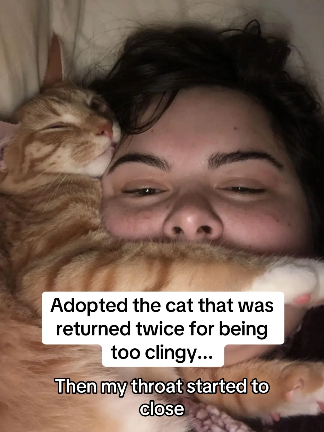 #catsoftiktok #cats #catlover 