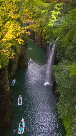 สวยแบบตะโกน 🍁 #高千穂 #ช่องเขาทาคาชิโฮะ #takachihogorge #japan #เที่ยวญี่ปุ่น 