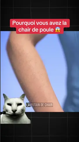 Pourquoi vous avez la chair de poule 😱 #animation #explication #savoir #biologie #corpshumain 