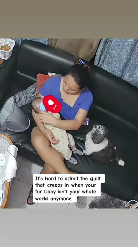 Furmom guilt is real 🥹 #momguilt #ftm  #furbaby #dog #furmomguilt 