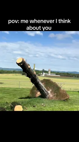 relatable! 😂 ( video via @_treevi ) #Relationship #relationshipmemes #boyfriend #girlfriend #memes 