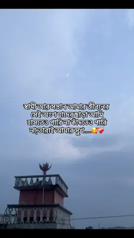 #probashirbow #tiktokbangladesh #valobasha❣️😊👈 #foryoupage #viralvideo 