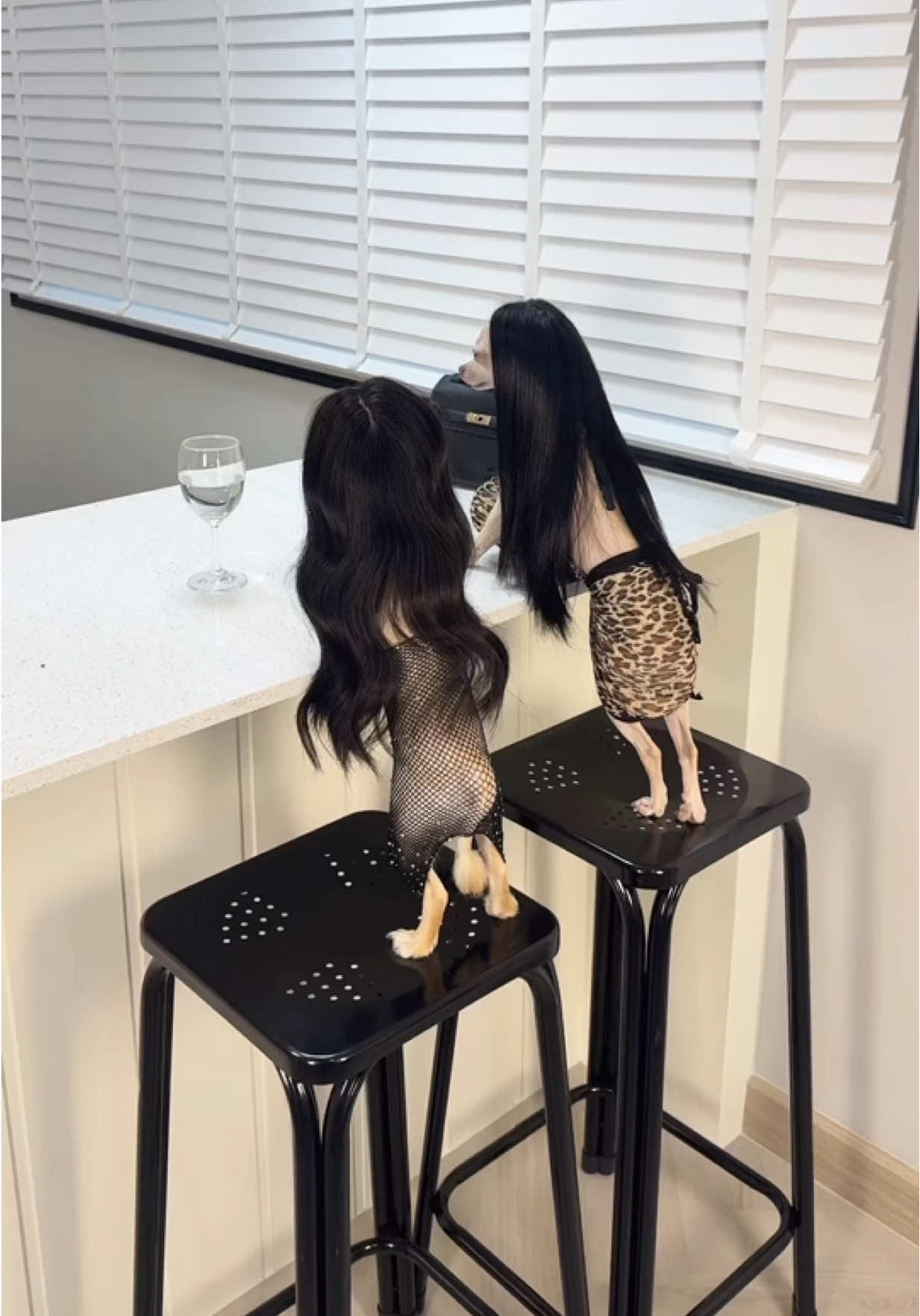 เลดี้ 10000000000% 👩🏻👩🏻 @Panya Natural Thailand  #คิ้วคือมงกุฎของแค #น้ำมันมะรุมปัญญาไทย  #ไลฟ์สดลดกระหน่ำ #ช่องtiktokpanyanaturalthailand