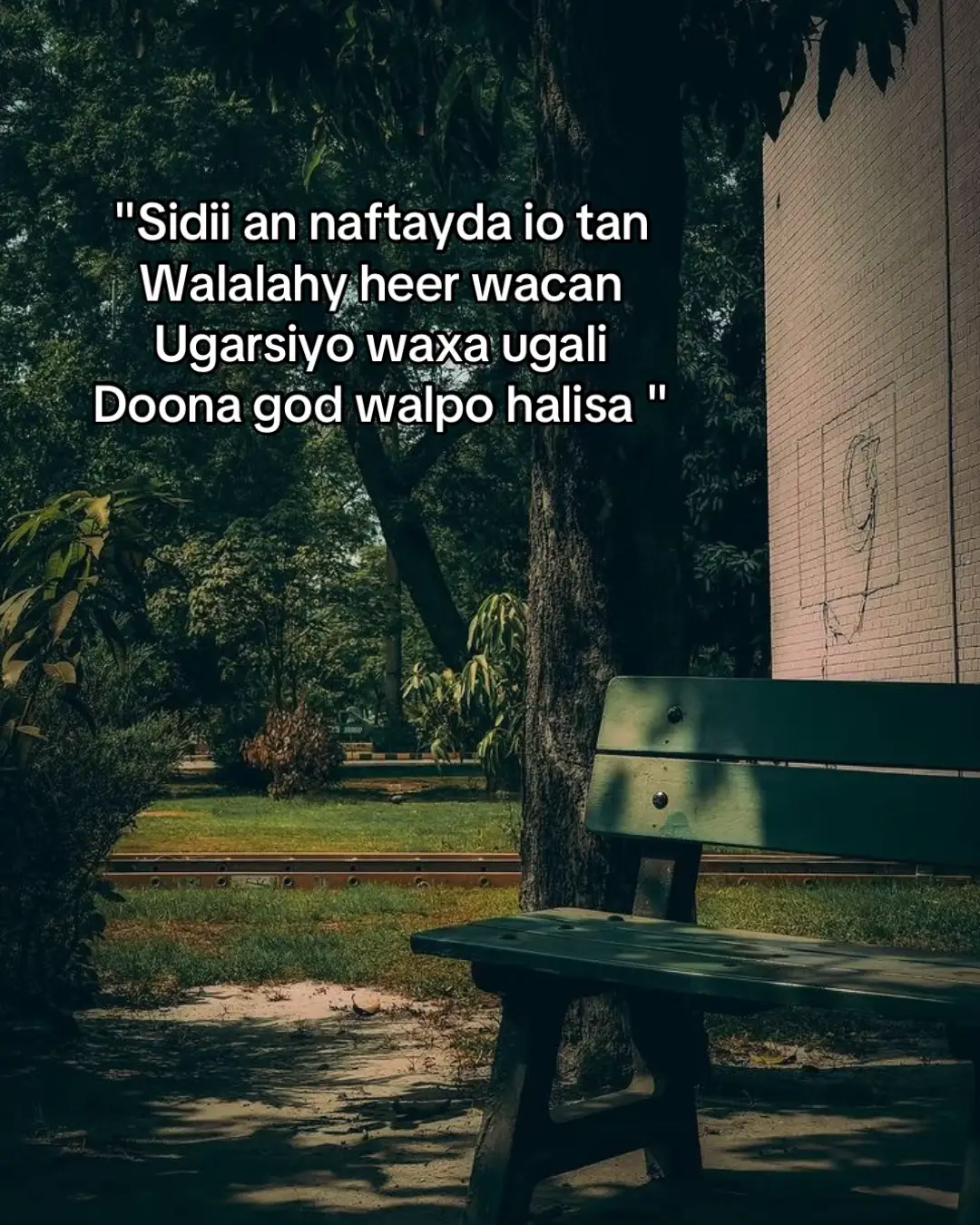 #fypシ゚ #somaliatiktok #🎀🎀🎀🎀🎀🎀🎀🎀🎀🎀🎀🎀 