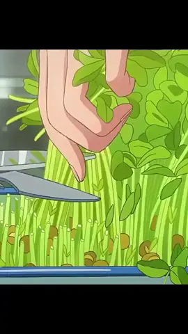 bashak  #foryoupageofficial #firyoupageplease #nature #100k #100kfollowers 