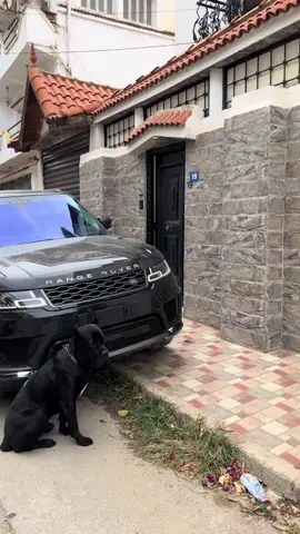 rang rover sport full options 2021 🇬🇧 #svr #sports #bmw #audi#mercedes 