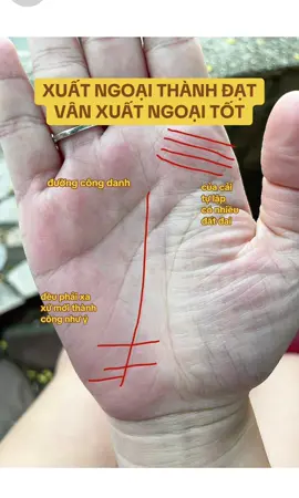 SỐ MỆNH PHẢI XA XỨ LÀ ĐÂY. CÁC BẠN XUẤT NGOẠI NHIỀU NĂM CŨNG CÓ VÂN NÀY...