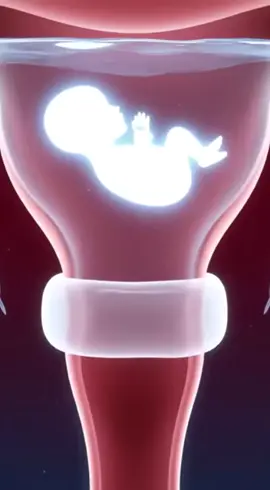 🤱🤱🤰🤰💗#foyourpage #pregnancyjourney #1millionveiws #viralvidieotiktok #pregnant 