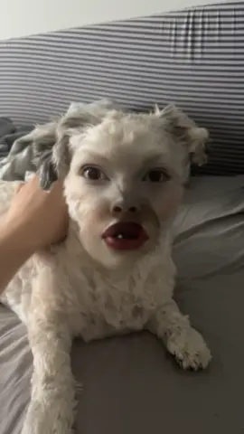 I love you dawg #cute #dog #filter #loveyou #fyp 