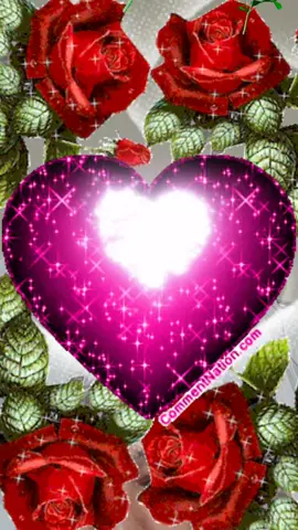 #explorer #🇲🇦🇩🇿🇹🇳🇵🇸 #douaa 