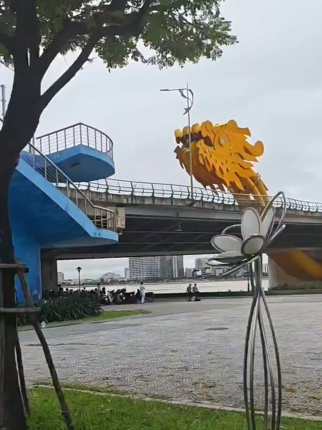 Trời mưa buồn buồn chạy qua Cầu Tình Yêu ngắm mắt môi con rồng  #caurong #caurongdanang #cautinhyeu #danangcity #danang 