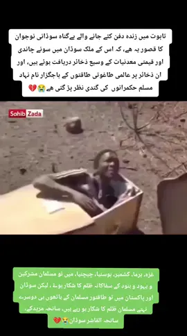 سانحہ دارالفور الفاشر سوڈان 💔😭 سانحہ مریدکے💔😭#پاکستان___زندہ___باد #پاکستان_زندہ_باد_پاک_فوج_پائندہ_باد #پاکستان #duet #pakistan 