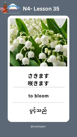 N4 Lesson vocabulary 35 #n4 #vocabulary #lesson35 #minnanonihongo 