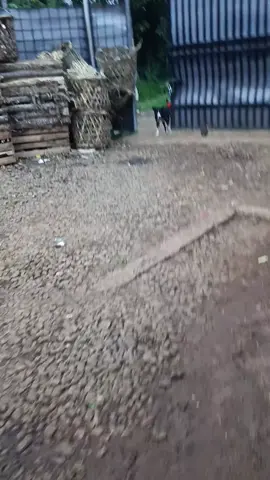 Tah Kitu...jadi naon masalahna anying kudu dijauhan,weuh bedana gning