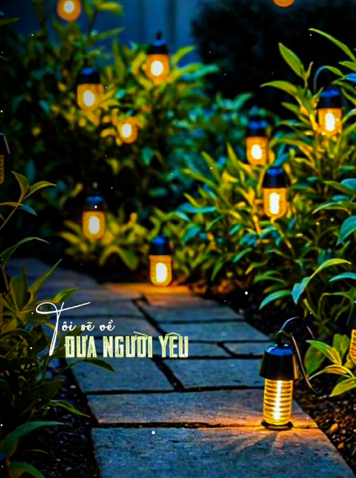Tôi sẽ về #nhachaymoingay #nhactamtrang #xuhuong2025 #foryou #fyp 
