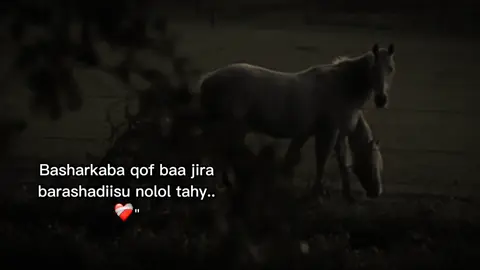 #fypviral #fyシviral #maahiz #foryou #foryoupage 