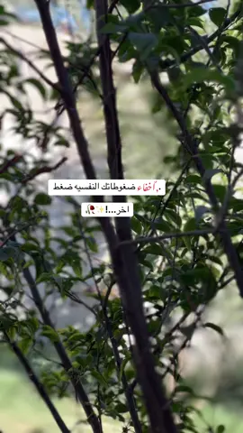 ✨🤍.                                                           #اعادة_النشر🔃 #لايك_متابعه_اكسبلور #😔💔🥀 #تصميم_فيديوهات🎶🎤🎬 #ترند 