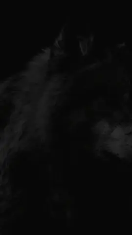 🔥🔥🔥 #عبارة_فخمة؟🥀🖤 #تصميم_فيديوهات🎶🎤🎬 #foryou #fypシ゚ #foryoupage 