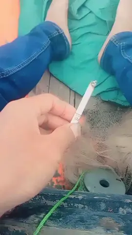 fyp...// 301025...MCG///