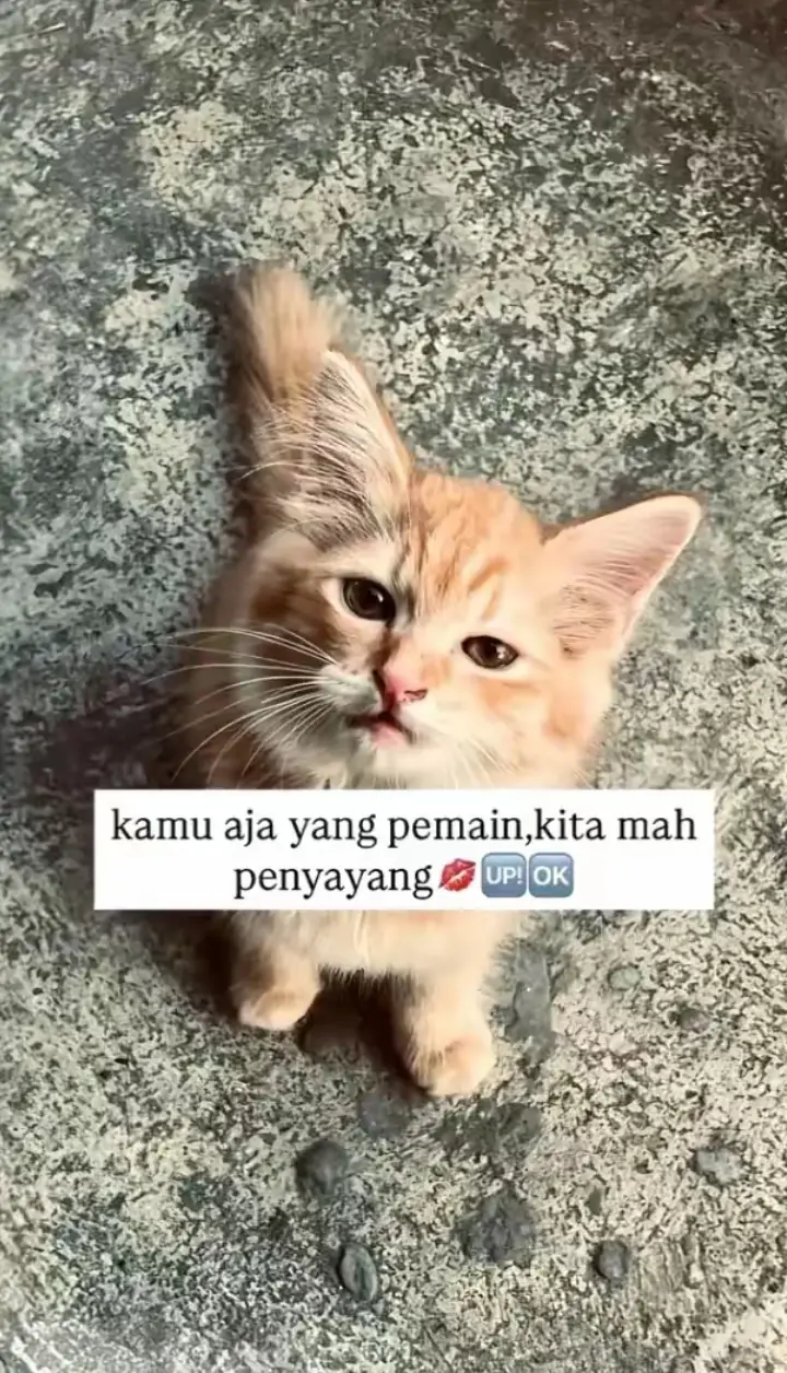 iya ga tak @mesakh_sitohang 