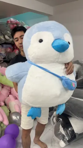 Con chim cánh cụt này cute quá trời #chimcanhcut #xuhuong 