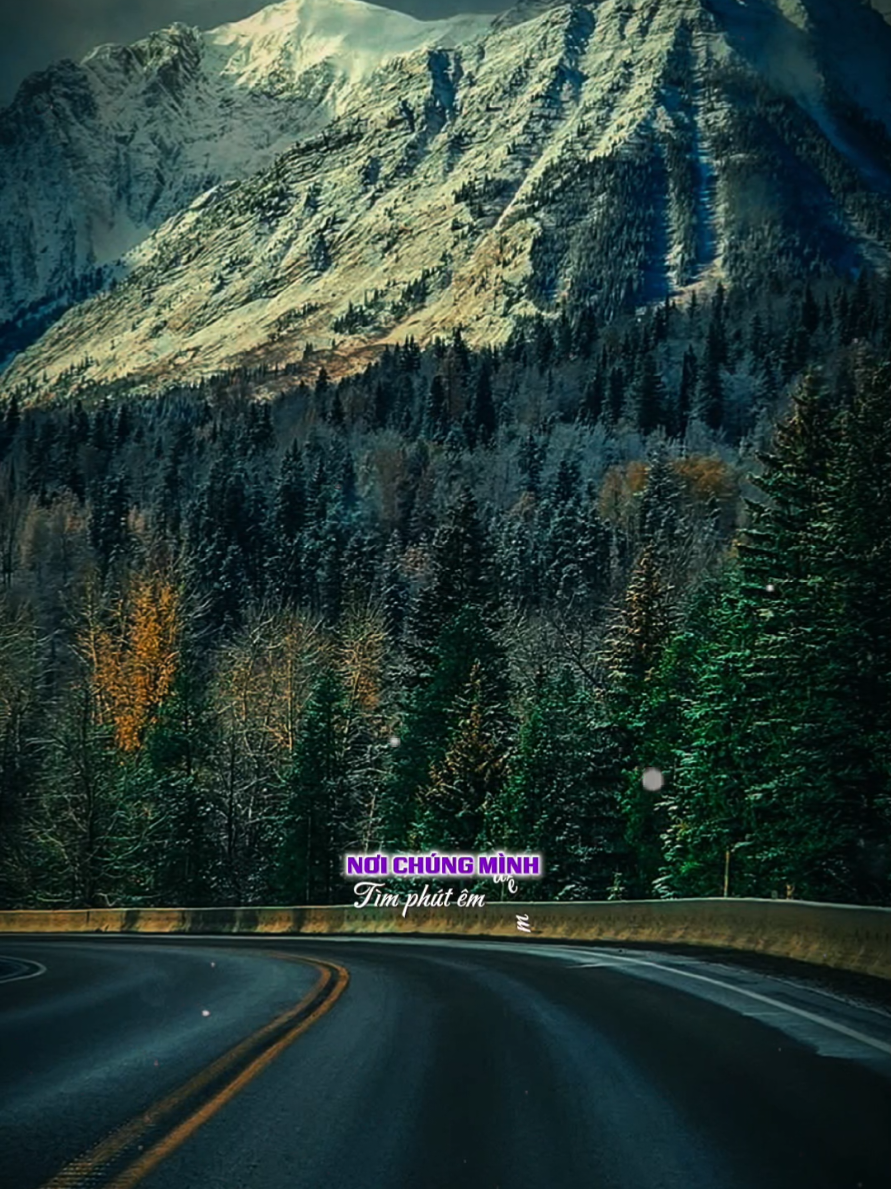 Thành Phố Buồn:#capcut #capcutpioneer #pioneertemplate #fyp #ngochuy1402 