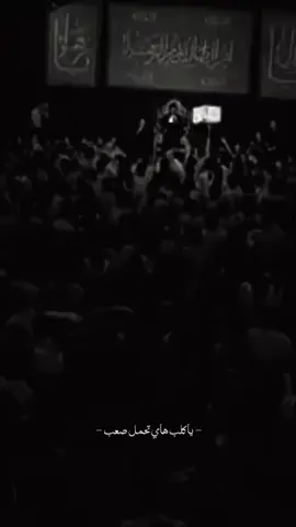 #امجدالشغانبي #السيده_زينب_عليها_السلام #ياحسين_اسمك_احسه_عايش_بنص_الدليل #ويبقى_الحب 