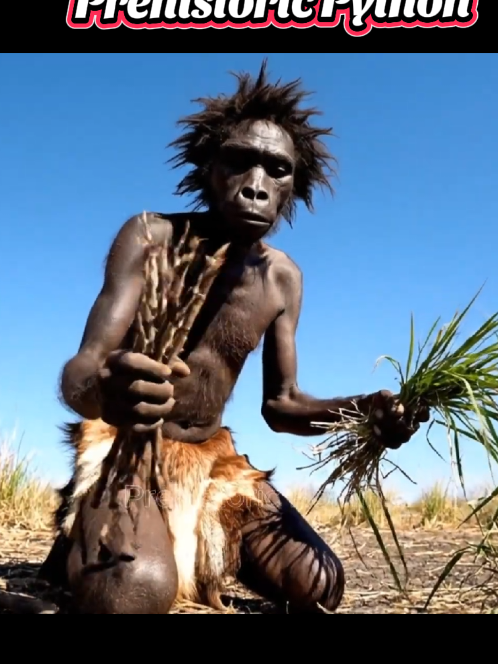 Life 1.7 Million Years Ago | How Terrifying Was the Prehistoric Python Witness a silent journey across the African savanna: a Homo habilis tracks small prey, masters smoke and fire, faces a colossal golden python, and survives with help from fellow hominins and a vigilant vervet. Every scene is told only through natural sound-wind through dry grass, the hiss of smoke, the rasp of scales-capturing the raw rhythm of early life. This is Human Evolution rendered as lived experience, not lecture. From tool use and cooperative rescue to predator-prey tension beneath a clear blue sky, each moment reveals behaviors that shaped our lineage. The film's patient, observational style invites viewers to read the land, follow the tunnels, and feel the urgency of survival. No dialogue. No narration. Just the world as it was-and the choices that moved Human Evolution forward. See how ingenuity with fire and group coordination echo through time, how small victories define Human Evolution, and how the savanna's dangers honed resilience central to Human Evolution. As sunset falls, the quiet triumph of endurance points to the long arc of Human Evolution. earlyhuman. #humanevolution  #prehistorichuman  #hominid  #prehistoricdocumentary  #prehistoric 