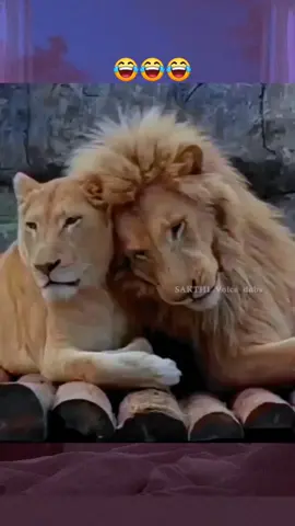 #creatorsearchinsights #tamiltrending #tamilfunnyvideos #tamilcomedy #Tamilfunny 