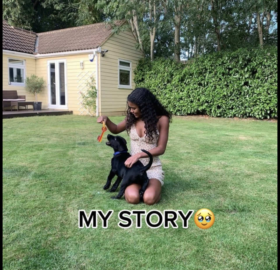 My story🥹  Shop via the link in my bio 🔗 #petmom #justagirl #dogmom 