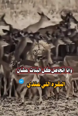 RAREEHREE #REEHREERA RA RA 잘잘잘잘잘잘잘잘잘잘잘잘잘잘잘잘잘잘永永永永永永永永永永永永永永永永永줄줄줄줄줄줄줄줄줄줄줄줄줄좋은 날 좋은 날 좋은 날 좋은 날:RAREEHREE #REEHREERA RA RA 잘잘잘잘잘잘잘잘잘잘잘잘잘잘잘잘잘잘永永永永永永永永永永永永永永永永永줄줄줄줄줄줄줄줄줄줄줄줄줄좋은RAREEHREE #REEHREERA RA RA 잘잘잘잘잘잘잘잘잘잘잘잘잘잘잘잘잘잘永永永永永永永永永永永永永永永永永줄줄줄줄줄줄줄줄줄줄줄줄줄좋은 날 좋은 날 좋은 날 좋은 날:RAREEHREE #REEHREERA RA RA 잘잘잘잘잘잘잘잘잘잘잘잘잘잘잘잘잘잘永永永永永永永永永永永永永永永永永줄줄줄줄줄줄줄줄줄줄줄줄줄좋은RAREEHREE #REEHREERA RA RA 잘잘잘잘잘잘잘잘잘잘잘잘잘잘잘잘잘잘永永永永永永永永永永永永永永永永永줄줄줄줄줄줄줄줄줄줄줄줄줄좋은 날 좋은 날 좋은 날 좋은 날:RAREEHREE  RA RA 잘잘잘잘잘잘잘잘잘잘잘잘잘잘잘잘잘잘永永永永永永永永永永永永永永永永永줄줄줄줄줄줄줄줄줄줄줄줄줄좋은RAREEHREE  RA RA 잘잘잘잘잘잘잘잘잘잘잘잘잘잘잘잘잘잘永永永永永永永永永永永永永永永永永줄줄줄줄줄줄줄줄줄줄줄줄줄좋은 날 좋은 날 좋은 날 좋은 날:RAREEHREE  RA RA 잘잘잘잘잘잘잘잘잘잘잘잘잘잘잘잘잘잘永永永永永永永永永永永永永永永永永줄줄줄줄줄줄줄줄줄줄줄줄줄좋은RAREEHREE  RA RA 잘잘잘잘잘잘잘잘잘잘잘잘잘잘잘잘잘잘永永永永永永永永永永永永永永永永永줄줄줄줄줄줄줄줄줄줄줄줄줄좋은 날 좋은 날 좋은 날 좋은 날:RAREEHREE  RA RA 잘잘잘잘잘잘잘잘잘잘잘잘잘잘잘잘잘잘永永永永永永永永永永永永永永永永永줄줄줄줄줄줄줄줄줄줄줄줄줄좋은RAREEHREE  RA RA 잘잘잘잘잘잘잘잘잘잘잘잘잘잘잘잘잘잘永永永永永永永永永永永永永永永永永줄줄줄줄줄줄줄줄줄줄줄줄줄좋은 날 좋은 날 좋은 날 좋은 날:RAREEHREE  RA RA 잘잘잘잘잘잘잘잘잘잘잘잘잘잘잘잘잘잘永永永永永永永永永永永永永永永永永줄줄줄줄줄줄줄줄줄줄줄줄줄좋은RAREEHREE  RA RA 잘잘잘잘잘잘잘잘잘잘잘잘잘잘잘잘잘잘永永永永永永永永永永永永永永永永永줄줄줄줄줄줄줄줄줄줄줄줄줄좋은 날 좋은 날 좋은 날 좋은 날:RAREEHREE  RA RA 잘잘잘잘잘잘잘잘잘잘잘잘잘잘잘잘잘잘永永永永永永永永永永永永永永永永永줄줄줄줄줄줄줄줄줄줄줄줄줄좋은RAREEHREE  RA RA 잘잘잘잘잘잘잘잘잘잘잘잘잘잘잘잘잘잘永永永永永永永永永永永永永永永永永줄줄줄줄줄줄줄줄줄줄줄줄줄좋은 날 좋은 날 좋은 날 좋은 날:RAREEHREE  RA RA 잘잘잘잘잘잘잘잘잘잘잘잘잘잘잘잘잘잘永永永永永永永永永永永永永永永永永줄줄줄줄줄줄줄줄줄줄줄줄줄좋은RAREEHREE  RA RA 잘잘잘잘잘잘잘잘잘잘잘잘잘잘잘잘잘잘永永永永永永永永永永永永永永永永永줄줄줄줄줄줄줄줄줄줄줄줄줄좋은 날 좋은 날 좋은 날 좋은 날:RAREEHREE  RA RA 잘잘잘잘잘잘잘잘잘잘잘잘잘잘잘잘잘잘永永永永永永永永永永永永永永永永永줄줄줄줄줄줄줄줄줄줄줄줄줄좋은RAREEHREE  RA RA 잘잘잘잘잘잘잘잘잘잘잘잘잘잘잘잘잘잘永永永永永永永永永永永永永永永永永줄줄줄줄줄줄줄줄줄줄줄줄줄좋은 날 좋은 날 좋은 날 좋은 날:RAREEHREE  RA RA 잘잘잘잘잘잘잘잘잘잘잘잘잘잘잘잘잘잘永永永永永永永永永永永永永永永永永줄줄줄줄줄줄줄줄줄줄줄줄줄좋은RAREEHREE  RA RA 잘잘잘잘잘잘잘잘잘잘잘잘잘잘잘잘잘잘永永永永永永永永永永永永永永永永永줄줄줄줄줄줄줄줄줄줄줄줄줄좋은 날 좋은 날 좋은 날 좋은 날:RAREEHREE  RA RA 잘잘잘잘잘잘잘잘잘잘잘잘잘잘잘잘잘잘永永永永永永永永永永永永永永永永永줄줄줄줄줄줄줄줄줄줄줄줄줄좋은RAREEHREE  RA RA 잘잘잘잘잘잘잘잘잘잘잘잘잘잘잘잘잘잘永永永永永永永永永永永永永永永永永줄줄줄줄줄줄줄줄줄줄줄줄줄좋은 날 좋은 날 좋은 날 좋은 날:RAREEHREE  RA RA 잘잘잘잘잘잘잘잘잘잘잘잘잘잘잘잘잘잘永永永永永永永永永永永永永永永永永줄줄줄줄줄줄줄줄줄줄줄줄줄좋은RAREEHREE  RA RA 잘잘잘잘잘잘잘잘잘잘잘잘잘잘잘잘잘잘永永永永永永永永永永永永永永永永永줄줄줄줄줄줄줄줄줄줄줄줄줄좋은 날 좋은 날 좋은 날 좋은 날:RAREEHREE  RA RA 잘잘잘잘잘잘잘잘잘잘잘잘잘잘잘잘잘잘永永永永永永永永永永永永永永永永永줄줄줄줄줄줄줄줄줄줄줄줄줄좋은RAREEHREE  RA RA 잘잘잘잘잘잘잘잘잘잘잘잘잘잘잘잘잘잘永永永永永永永永永永永永永永永永永줄줄줄줄줄줄줄줄줄줄줄줄줄좋은 날 좋은 날 좋은 날 좋은 날:RAREEHREE  RA RA 잘잘잘잘잘잘잘잘잘잘잘잘잘잘잘잘잘잘永永永永永永永永永永永永永永永永永줄줄줄줄줄줄줄줄줄줄줄줄줄좋은RAREEHREE  RA RA 잘잘잘잘잘잘잘잘잘잘잘잘잘잘잘잘잘잘永永永永永永永永永永永永永永永永永줄줄줄줄줄줄줄줄줄줄줄줄줄좋은 날 좋은 날 좋은 날 좋은 날:RAREEHREE  RA RA 잘잘잘잘잘잘잘잘잘잘잘잘잘잘잘잘잘잘永永永永永永永永永永永永永永永永永줄줄줄줄줄줄줄줄줄줄줄줄줄좋은RAREEHREE  RA RA 잘잘잘잘잘잘잘잘잘잘잘잘잘잘잘잘잘잘永永永永永永永永永永永永永永永永永줄줄줄줄줄줄줄줄줄줄줄줄줄좋은 날 좋은 날 좋은 날 좋은 날:RAREEHREE  RA RA 잘잘잘잘잘잘잘잘잘잘잘잘잘잘잘잘잘잘永永永永永永永永永永永永永永永永永줄줄줄줄줄줄줄줄줄줄줄줄줄좋은RAREEHREE  RA RA 잘잘잘잘잘잘잘잘잘잘잘잘잘잘잘잘잘잘永永永永永永永永永永永永永永永永永줄줄줄줄줄줄줄줄줄줄줄줄줄좋은 날 좋은 날 좋은 날 좋은 날:RAREEHREE  RA RA 잘잘잘잘잘잘잘잘잘잘잘잘잘잘잘잘잘잘永永永永永永永永永永永永永永永永永줄줄줄줄줄줄줄줄줄줄줄줄줄좋은RAREEHREE  RA RA 잘잘잘잘잘잘잘잘잘잘잘잘잘잘잘잘잘잘永永永永永永永永永永永永永永永永永줄줄줄줄줄줄줄줄줄줄줄줄줄좋은 날 좋은 날 좋은 날 좋은 날:RAREEHREE  RA RA 잘잘잘잘잘잘잘잘잘잘잘잘잘잘잘잘잘잘永永永永永永永永永永永永永永永永永줄줄줄줄줄줄줄줄줄줄줄줄줄좋은RAREEHREE  RA RA 잘잘잘잘잘잘잘잘잘잘잘잘잘잘잘잘잘잘永永永永永永永永永永永永永永永永永줄줄줄줄줄줄줄줄줄줄줄줄줄좋은 날 좋은 날 좋은 날 좋은 날:RAREEHREE  RA RA 잘잘잘잘잘잘잘잘잘잘잘잘잘잘잘잘잘잘永永永永永永永永永永永永永永永永永줄줄줄줄줄줄줄줄줄줄줄줄줄좋은RAREEHREE  RA RA 잘잘잘잘잘잘잘잘잘잘잘잘잘잘잘잘잘잘永永永永永永永永永永永永永永永永永줄줄줄줄줄줄줄줄줄줄줄줄줄좋은 날 좋은 날 좋은 날 좋은 날:RAREEHREE  RA RA 잘잘잘잘잘잘잘잘잘잘잘잘잘잘잘잘잘잘永永永永永永永永永永永永永永永永永줄줄줄줄줄줄줄줄줄줄줄줄줄좋은RAREEHREE  RA RA 잘잘잘잘잘잘잘잘잘잘잘잘잘잘잘잘잘잘永永永永永永永永永永永永永永永永永줄줄줄줄줄줄줄줄줄줄줄줄줄좋은 날 좋은 날 좋은 날 좋은 날:RAREEHREE  RA RA 잘잘잘잘잘잘잘잘잘잘잘잘잘잘잘잘잘잘永永永永永永永永永永永永永永永永永줄줄줄줄줄줄줄줄줄줄줄줄줄좋은RAREEHREE  RA RA 잘잘잘잘잘잘잘잘잘잘잘잘잘잘잘잘잘잘永永永永永永永永永永永永永永永永永줄줄줄줄줄줄줄줄줄줄줄줄줄좋은 날 좋은 날 좋은 날 좋은 날:RAREEHREE  RA RA 잘잘잘잘잘잘잘잘잘잘잘잘잘잘잘잘잘잘永永永永永永永永永永永永永永永永永줄줄줄줄줄줄줄줄줄줄줄줄줄좋은RAREEHREE  RA RA 잘잘잘잘잘잘잘잘잘잘잘잘잘잘잘잘잘잘永永永永永永永永永永永永永永永永永줄줄줄줄줄줄줄줄줄줄줄줄줄좋은 날 좋은 날 좋은 날 좋은 날:RAREEHREE  RA RA 잘잘잘잘잘잘잘잘잘잘잘잘잘잘잘잘잘잘永永永永永永永永永永永永永永永永永줄줄줄줄줄줄줄줄줄줄줄줄줄좋은RAREEHREE  RA RA 잘잘잘잘잘잘잘잘잘잘잘잘잘잘잘잘잘