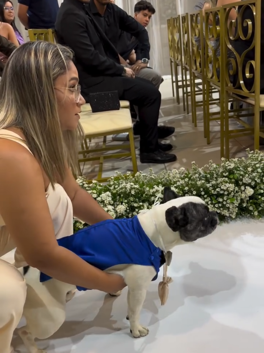 Meu dog em meu casamento #dybala #bulldog #bulldogfrances #casamento #dog @Dybala.dog 